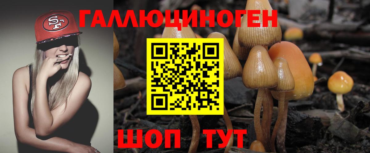 Псилоцибиновые грибы Psilocybine cubensis  продажа наркотиков  Вход с VPN  Новозыбков  Галлюциногенные грибы MAGIC MUSHROOMS 